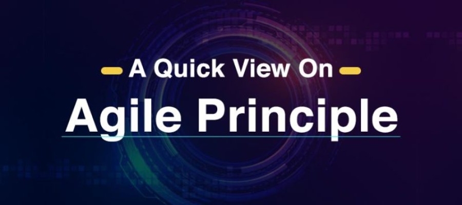 A quick view on Agile Principle