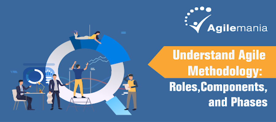 Understand Agile Methodology: Roles, Components, and Phases